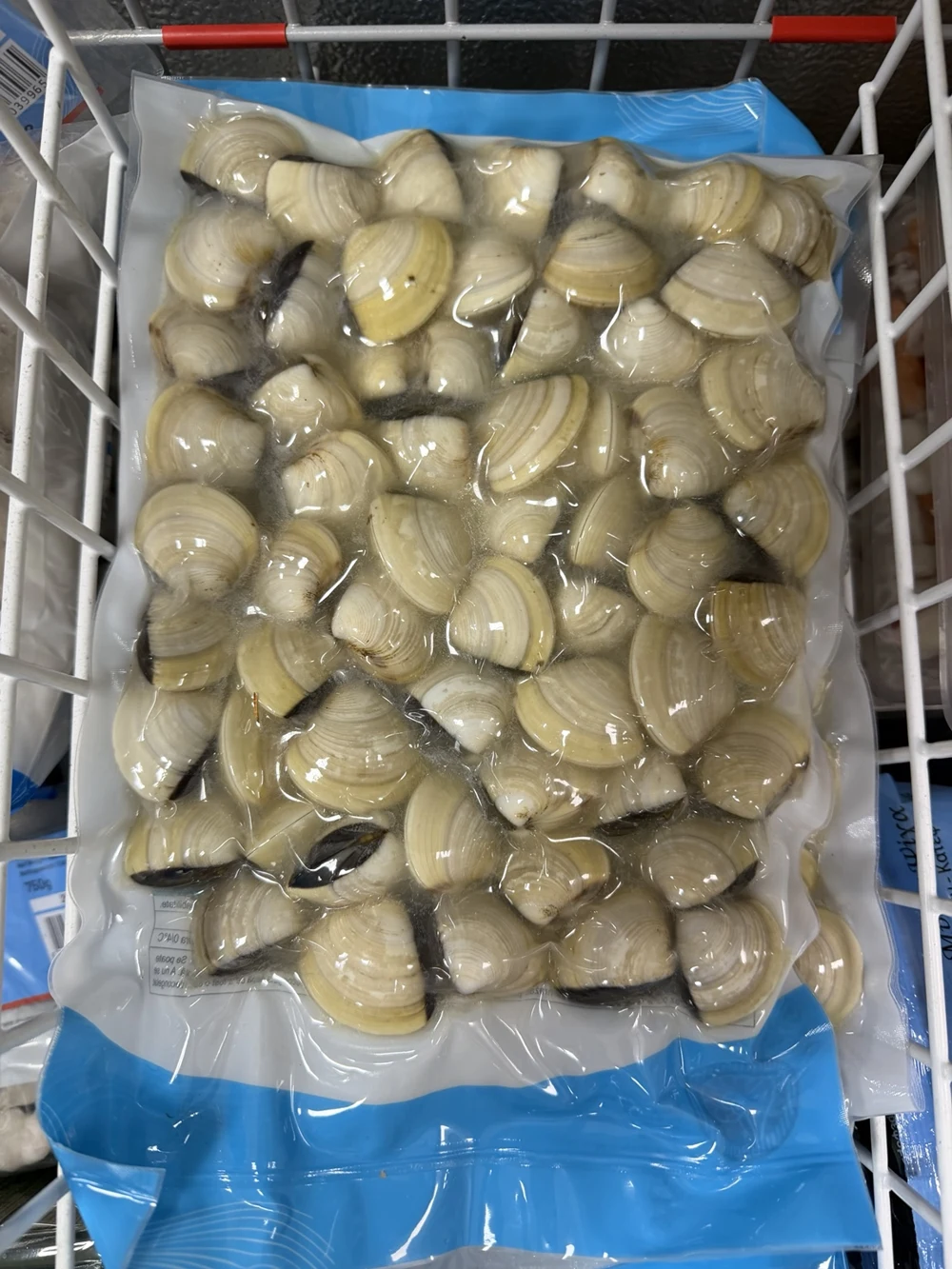 Muscheln aus dem Sortiment von Asian Shop Wang